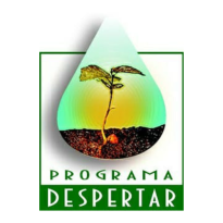 Programa Despertar